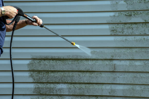 Best Roof Washing  in Hollister, MO